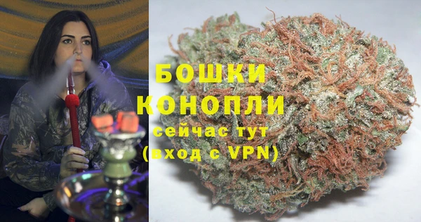 spice Алзамай