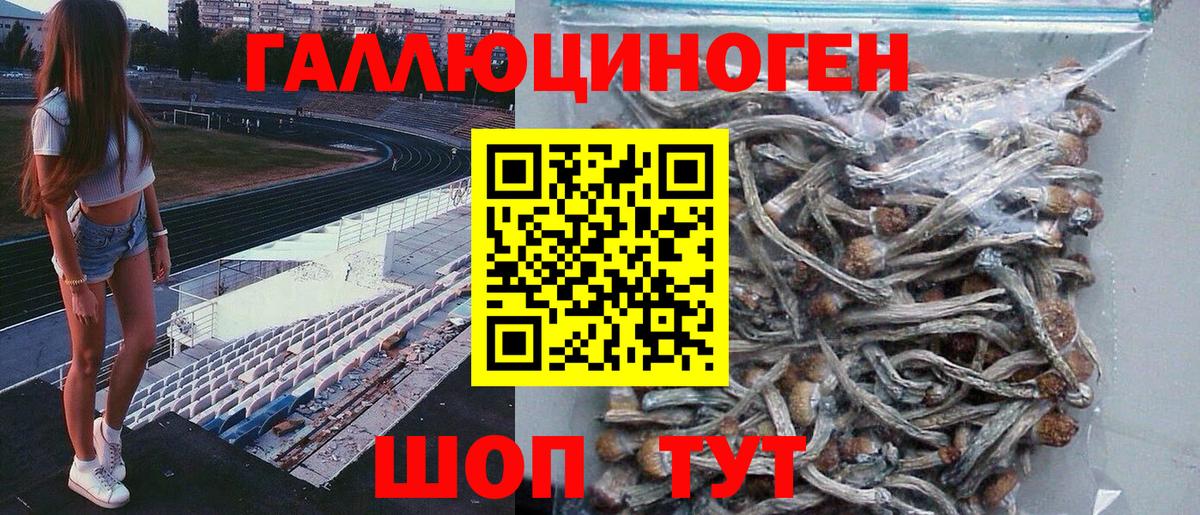 Псилоцибиновые грибы мицелий Люберцы